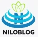 بسیج یعنی چه؟